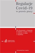 Polska książka : Regulacje ... - Wojciech K. Brzostowski, Alina Giżejowska, Monika Gładoch