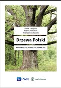 Drzewa Pol... - Paweł Zarzyński, Robert Tomusiak, Krzysztof Borkowski -  books in polish 