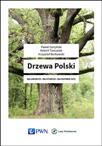 Obrazek Drzewa Polski Najgrubsze Najstarsze Najsłynniejsze