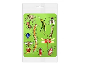 Picture of Szablony do obrysowania Owady