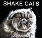 Shake Cats... - Carli Davidson -  books from Poland