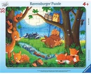 Picture of Puzzle 2D 35 ramkowe Dobranoc 5146