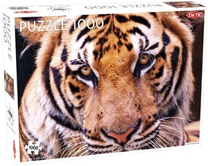 Obrazek Puzzle Tygrys 1000