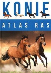 Obrazek Konie Atlas ras