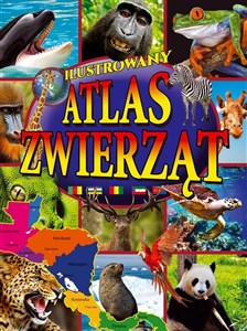 Obrazek Ilustrowany atlas zwierząt
