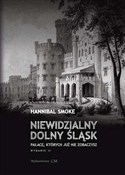 Polska książka : Niewidzial... - Hannibal Smoke