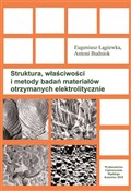 Struktura,... - Antoni Budniok, Eugeniusz Łągiewka -  Polish Bookstore 