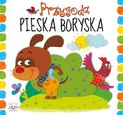 polish book : Przygoda p... - Anna Podgórska