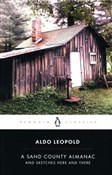 A Sand Cou... - Aldo Leopold -  foreign books in polish 