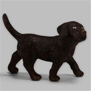 Obrazek Labrador szczenię