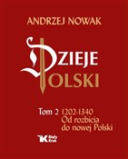 Dzieje Pol... - Andrzej Nowak -  books in polish 