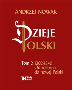 Picture of Dzieje Polski Od rozbicia do nowej Polski Tom 2