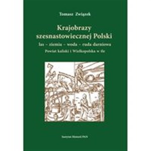Picture of Krajobrazy szesnastowiecznej Polski las ziemia woda ruda darniowa Powiat kaliski i Wielkopolska w tle