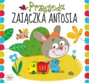 Przygoda z... - Anna Podgórska -  Polish Bookstore 