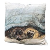 Poduszka C... - Ksiegarnia w UK