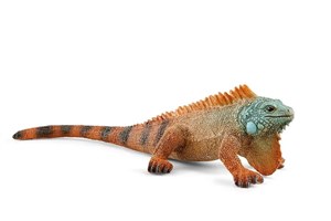 Obrazek Iguana SLH14854