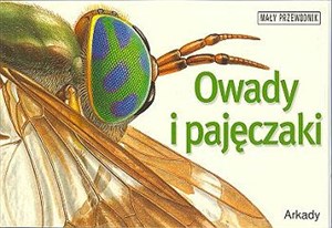 Obrazek Owady i pajęczaki Mały przewodnik