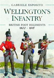 Picture of Wellington's Infantry British Foot Regiments 1800-1815
