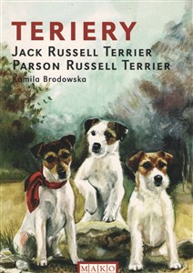 Obrazek Teriery Jack Russell Terrier Parson Russell Terrier
