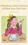What Katy ... - Susan Coolidge -  foreign books in polish 