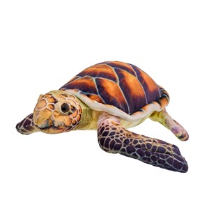 Picture of Maskotka ZOO Żółw brązowy 28cm