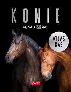 Picture of Konie. Atlas ras