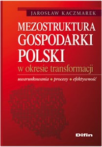 Picture of Mezostruktura gospodarki Polski w okresie transformacji Uwarunkowania, procesy, efektywność