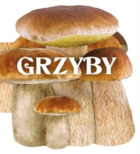 Picture of Grzyby