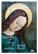 Książka : Maryja Dro... - Gabriele Amorth