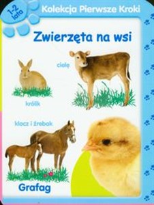 Picture of Kolekcja pierwsze kroki Zwierzęta na wsi
