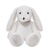 Zobacz : Królik Mat...