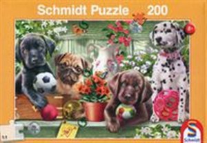 Obrazek Puzzle Schmidt 200 Figlarne szczeniaki