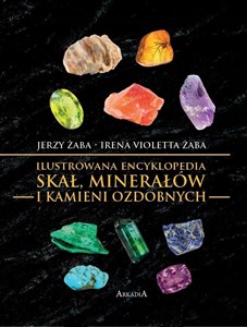 Obrazek Ilustrowana encyklopedia skał, minerałów...