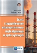 Odzysk i z... - Kazimierz Wójs -  books from Poland