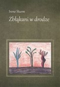 Zbłąkani w... - Irene Sturm -  foreign books in polish 