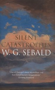 Picture of Silent Catastrophes Essays in Austrian Literature