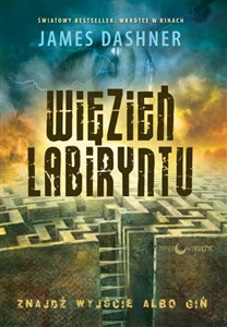 Picture of Więzień Labiryntu