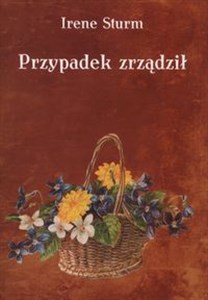 Obrazek Przypadek zrządził