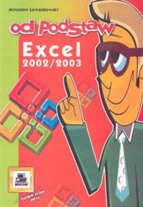 Picture of Excel 2002/2003
