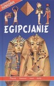 Polska książka : Egipcjanie... - Jane Chisholm, Rebecca  Treays