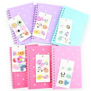 Picture of Notes na spirali z przypinkami MIX