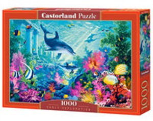 Picture of Puzzle Early Exploration 1000