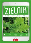 Zielnik - Opracowanie Zbiorowe -  books in polish 