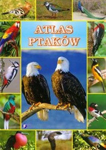 Picture of Atlas ptaków