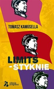 Obrazek Styknie / Limits / Silesia Progress