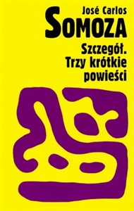 Obrazek Szczegół. Trzy krótkie powieści