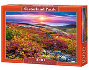 Obrazek Puzzle 1000 Northern Palette C-103539