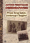Przez kraj... - Antoni Ferdynand Ossendowski -  books in polish 