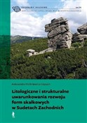 .Litologic... - Aleksandra Michniewicz-Cepuch -  foreign books in polish 