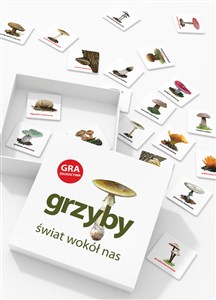 Obrazek Grzyby Świat wokół nas Gra edukacyjna